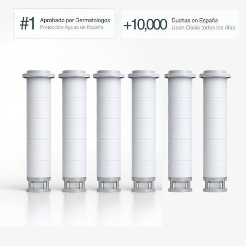 Pack de 6 Filtros de Repuesto